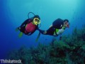 Things to do in Majuro 